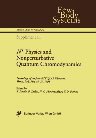 Cover image: N* Physics and Nonperturbative Quantum Chromodynamics 1st edition 9783211832998