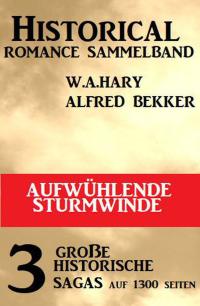 Omslagafbeelding: Aufwühlende Sturmwinde: Historical Romance Sammelband 3 große historische Sagas 9783753201443