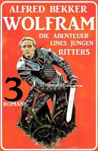 Imagen de portada: Wolfram - die Abenteuer eines jungen Ritters: 3 Romane 9783753204796