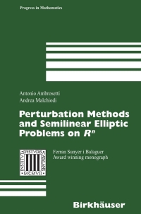 Titelbild: Perturbation Methods and Semilinear Elliptic Problems on R^n 9783764373214