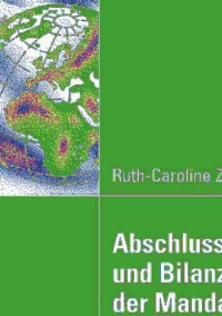 Omslagafbeelding: Abschlussprüfer und Bilanzpolitik der Mandanten 9783834910080