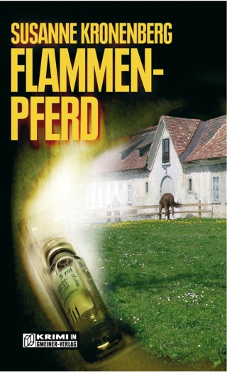 Imagen de portada: Flammenpferd 1st edition 9783899776553