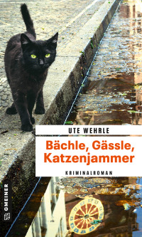 Cover image: Bächle, Gässle, Katzenjammer 1st edition 9783839201022