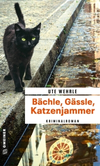 Omslagafbeelding: Bächle, Gässle, Katzenjammer 1st edition 9783839201022