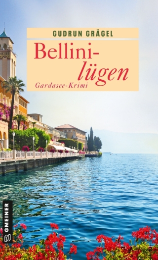 Cover image: Bellinilügen 1st edition 9783839205587