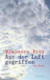 Imagen de portada: Aus der Luft gegriffen 1st edition 9783854207771