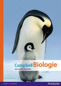 Omslagafbeelding: Campbell Biologie 1st edition 9783868949001