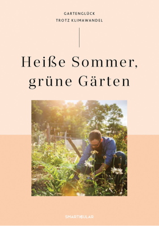 صورة الغلاف: Heiße Sommer, grüne Gärten 1st edition 9783910801028