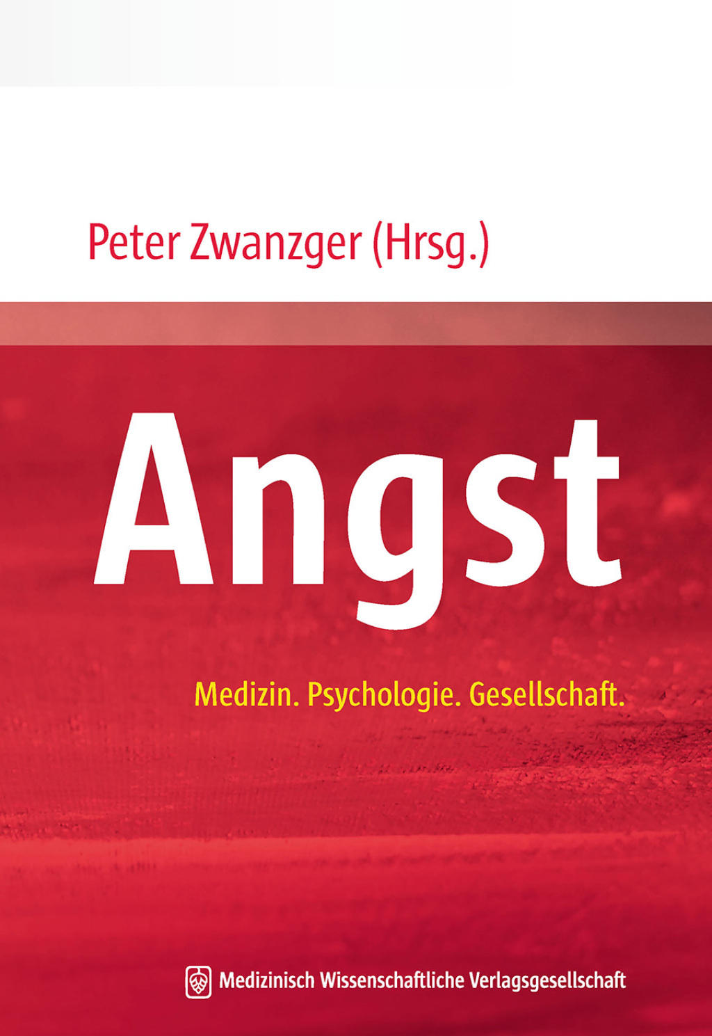Angst Medizin. Psychologie. Gesellschaft. 1st Edition