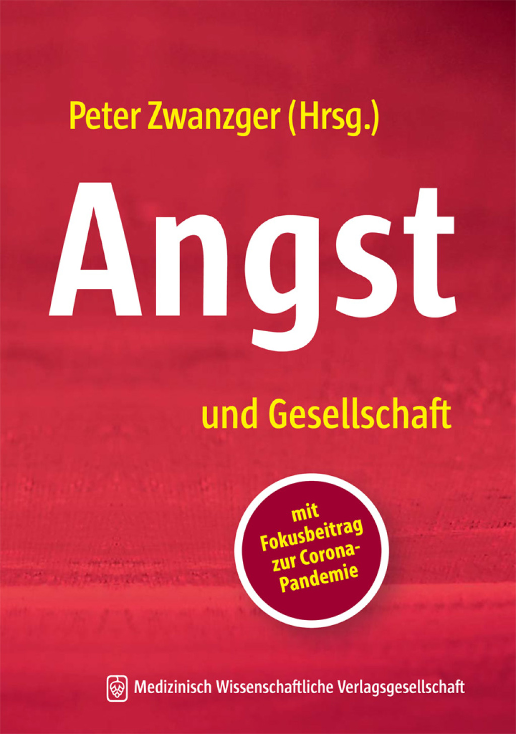 Angst und Gesellschaft mit Fokusbeitrag zur Corona-Pandemie 1st Edition