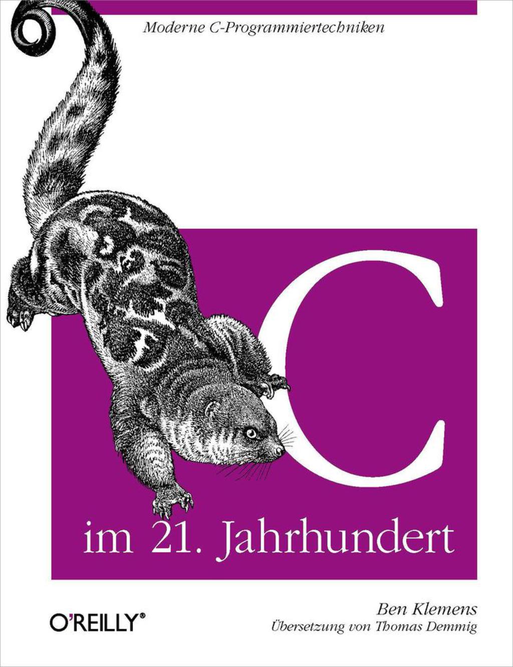 C im 21. Jahrhundert 1st Edition