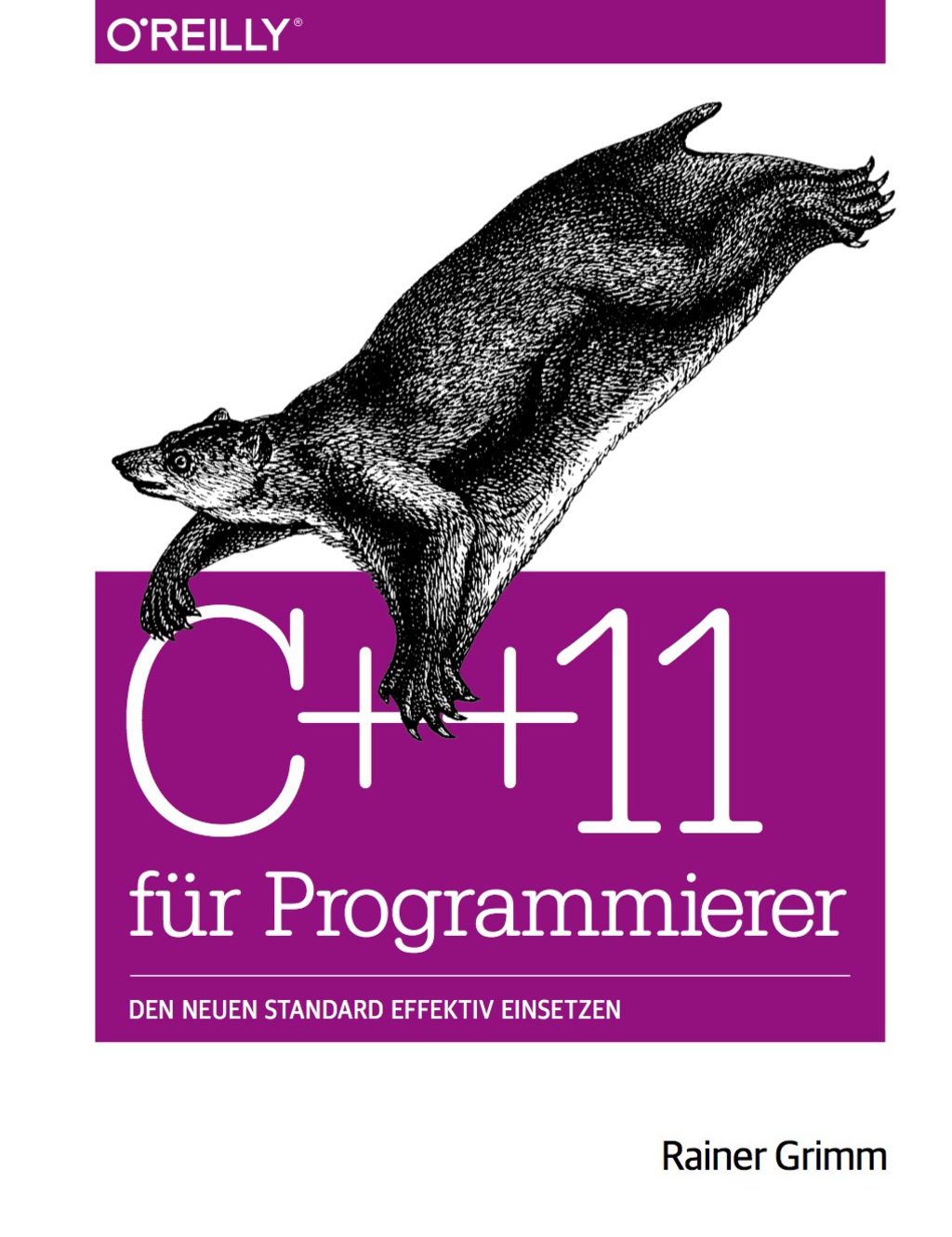 C++11 für Programmierer: Den neuen Standard effektiv einsetzen 1st Edition