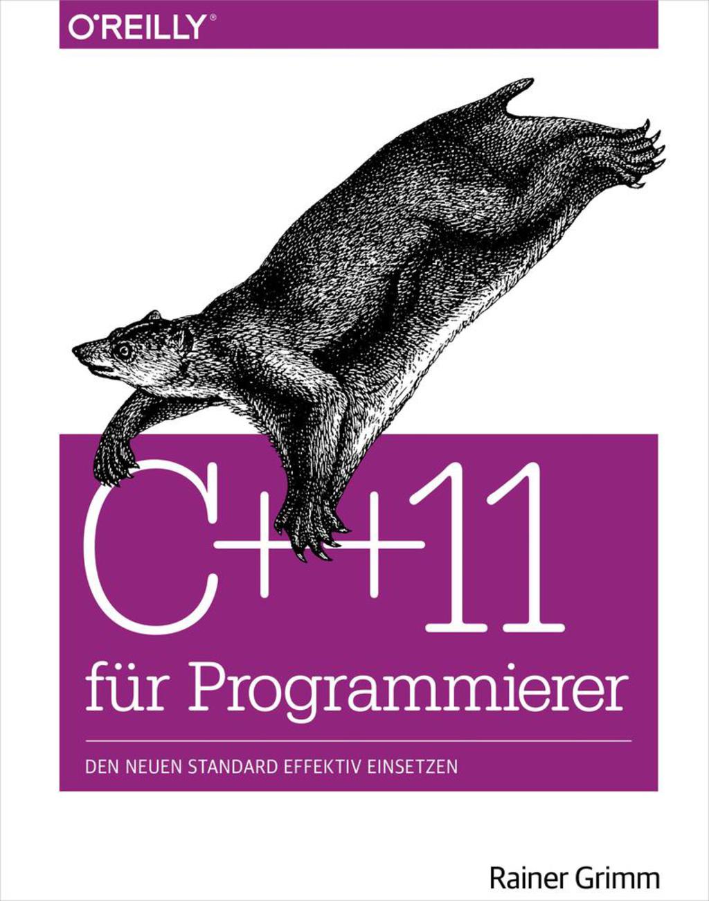 C++11 für Programmierer: Den neuen Standard effektiv einsetzen 1st Edition