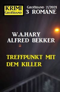 Cover image: Treffpunkt mit dem Killer: Krimi Großband 7/2021 9783956178788