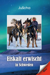 Imagen de portada: Eiskalt erwischt… in Schweden 9783957163431