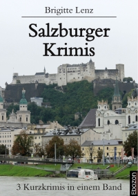 صورة الغلاف: Salzburger Krimis 1st edition 9783959632904