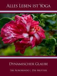 Cover image: Dynamischer Glaube 9783963871498
