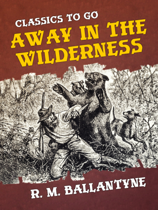 Cover image: Away in the Wilderness 9783965371798