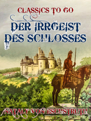 Imagen de portada: Der Irrgeist des Schlosses 9783968655239