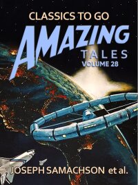 Cover image: Amazing Stories Volume 28 9783968657493