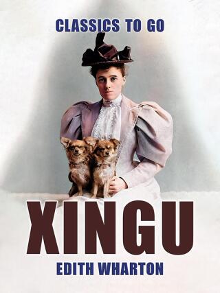Imagen de portada: Xingu 9783987448881