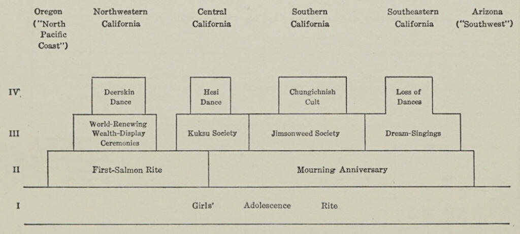 Anthropology