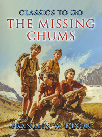 Cover image: The Missing Chums 9783989733008