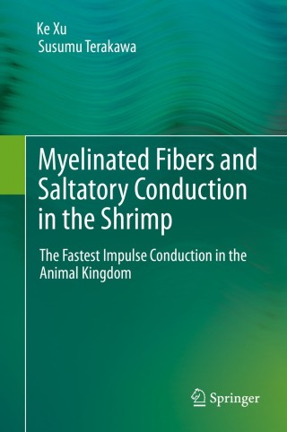 Imagen de portada: Myelinated Fibers and Saltatory Conduction in the Shrimp 9784431539230