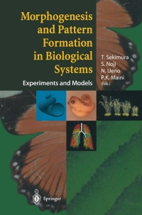Cover image: Morphogenesis and Pattern Formation in Biological Systems 1st edition 9784431006442