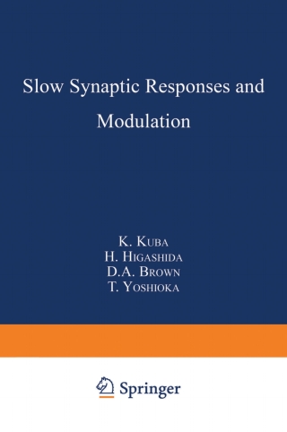 Cover image: Slow Synaptic Responses and Modulation 1st edition 9784431702498