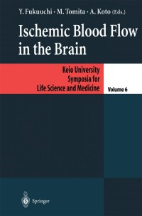 Cover image: Ischemic Blood Flow in the Brain 1st edition 9784431702924