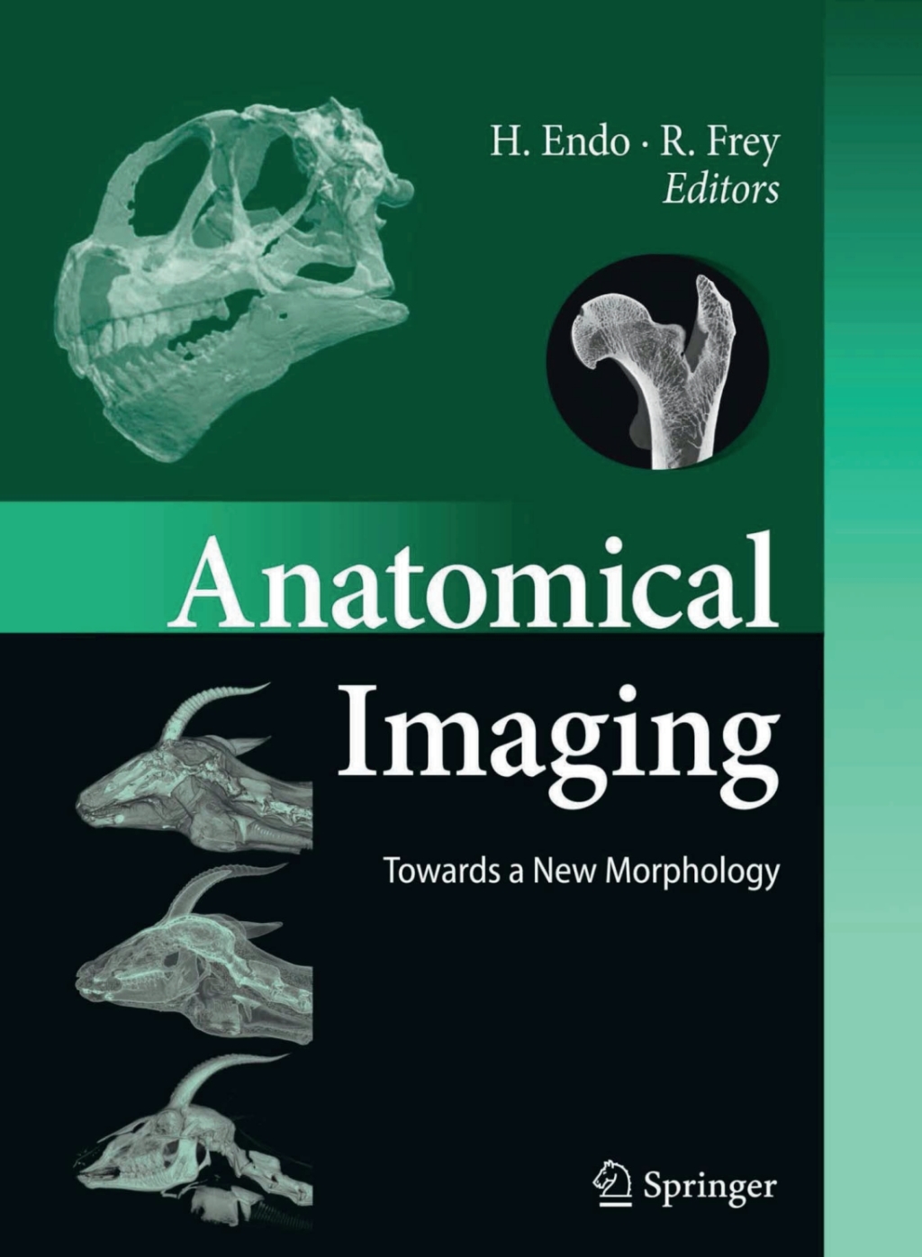 Anatomical Imaging Towards a New Morphology