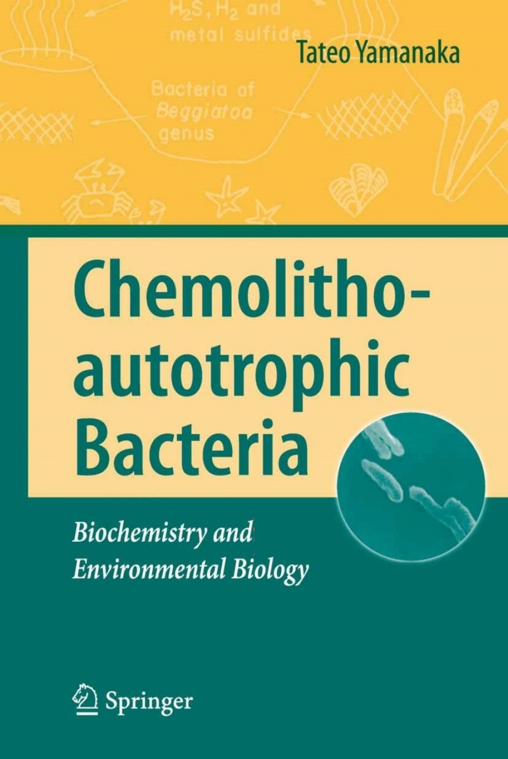 Chemolithoautotrophic Bacteria Biochemistry and Environmental Biology