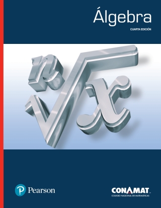Imagen de portada: Álgebra 4th edition 9786073235846