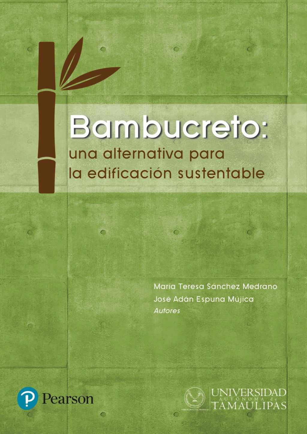 Bambucreto: una alternativa para la edificación sustentable 1st Edition