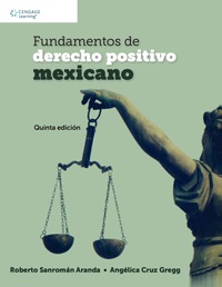 Imagen de portada: Fundamentos de derecho positivo mexicano 5th edition 9786075225081