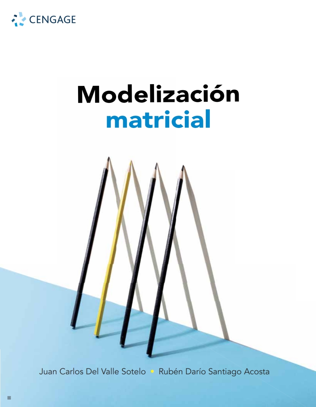 Modelización matricial 1st Edition