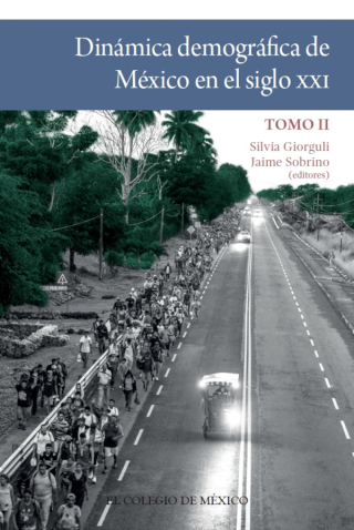 صورة الغلاف: Dinámica demográfica de México en el siglo XXI. Tomo II 1st edition 9786075640075