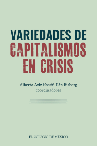 Cover image: Variedades de capitalismos en crisis. 1st edition 9786075642574