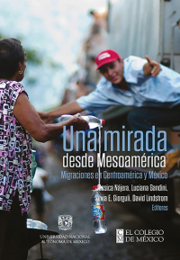 Imagen de portada: Una mirada desde Mesoamérica. Migraciones en Centroamérica y México 1st edition 9786075645131