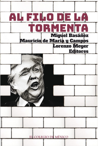 Cover image: Al filo de la tormenta. Un análisis de la relación México-Estados Unidos en vísperas de la elección norteamericana de 2016 1st edition 9786076281734