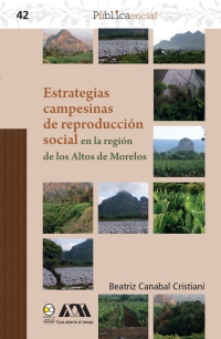 Cover image: Estrategias 
campesinas 
de reproducción 
social en la región 
de los Altos de Morelos 1st edition 9786078781089