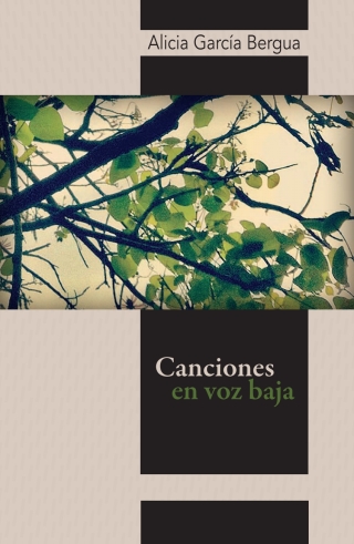 Omslagafbeelding: Canciones en voz baja 1st edition 9786078781607