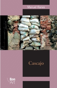 Cover image: Cascajo 1st edition 9786078838752