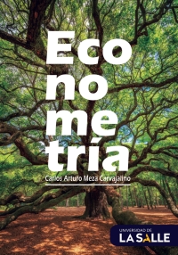 Cover image: Econometría 1st edition 9786287510258