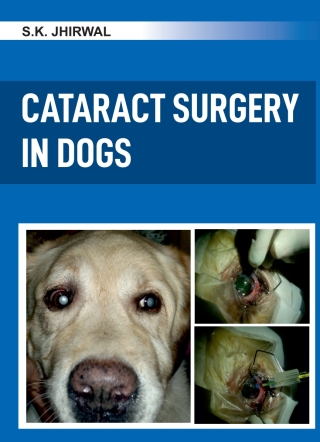 Cover image: Cataract Surgery in Dogs 1st edition 9788119002641