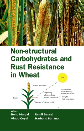 Cover image: Non-Structural Carbohydrates  and Rust Resistance in Wheat 1st edition 9788119103089