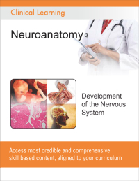 Cover image: Development of the Nervous System 9788131258705