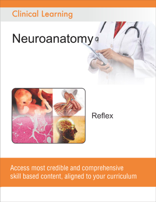 Cover image: Reflex 9788131258736