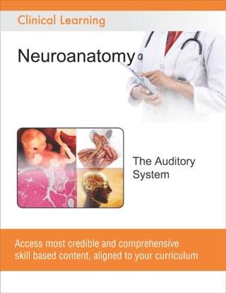 Cover image: The Auditory System 9788131258774